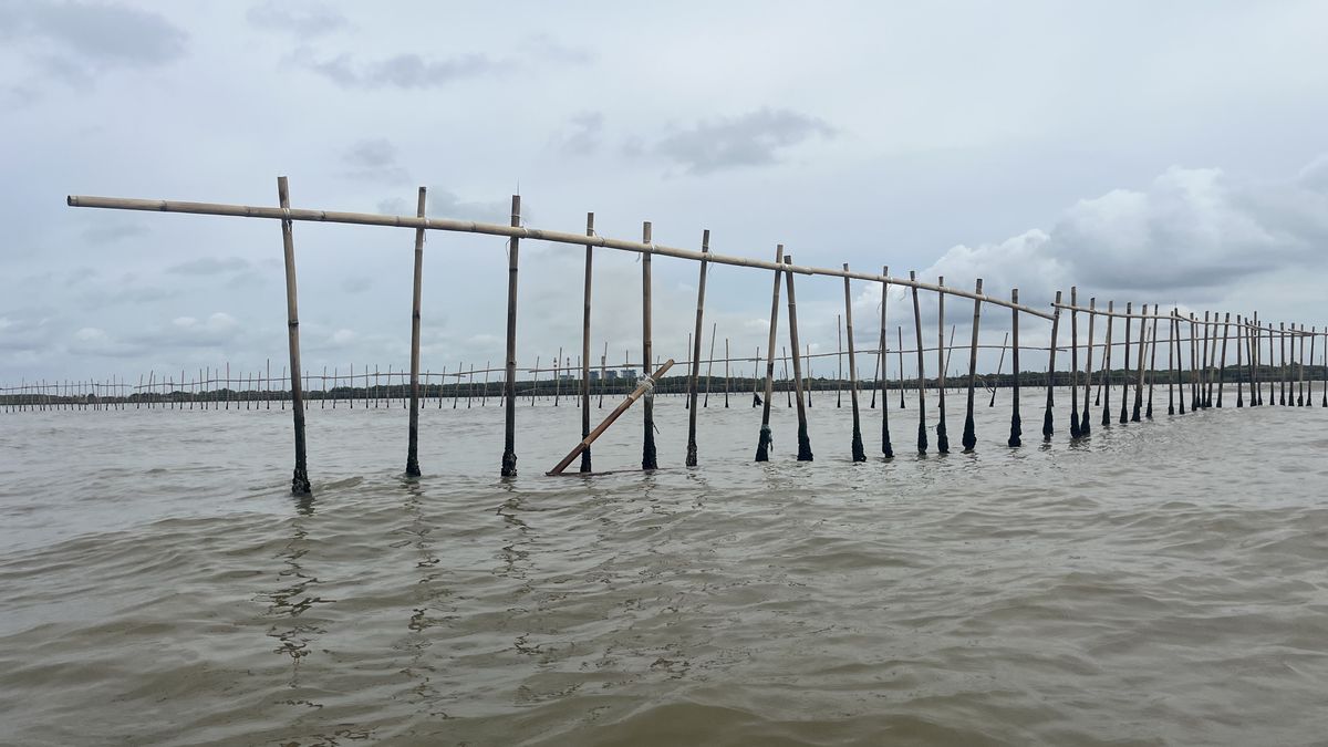 Soal SHGB-SHM di Laut Tangerang, Warga Desa Kohod Berharap Pusat Tindak Dugaan Pencatutan