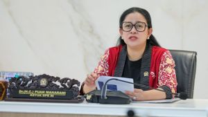 众议院(DPR Tuan Rumah),Puan将率领在WWF巴厘岛举行的世界议会会议2024