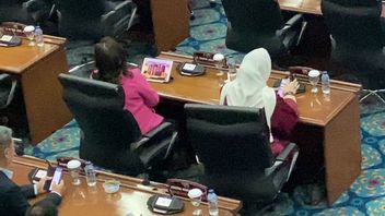 Believing In The Defense Of Cinta Mega Not Playing Gambling Slot But Candy Crush At The Plenary Meeting, PDIP: Whether It's True Or Not Is Her Business