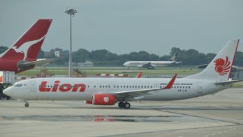 ナイピの日、2月29日、バリ島発着のライオン航空便が運航を停止