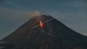 Gunung Merapi Kembali Muntahkan Lava Pijar Sejauh 1,6 Kilometer