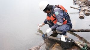 Bupati Lutim Janji Kawal Kasus Pipa Bocor Vale Hingga Tuntas