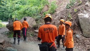 Bencana Longsor Kembali Tutup Akses Jalan Antardesa di Jember