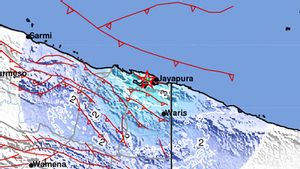 Jayapura Diguncang Gempa M 4,9, Pusatnya Ada di Darat 10 Km