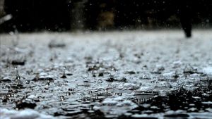 BMKG Perkirakan Jakarta Diguyur Hujan Seharian Hari Ini
