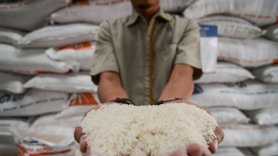 Production Drops, Rice Prices Are Predicted To Rise Again
