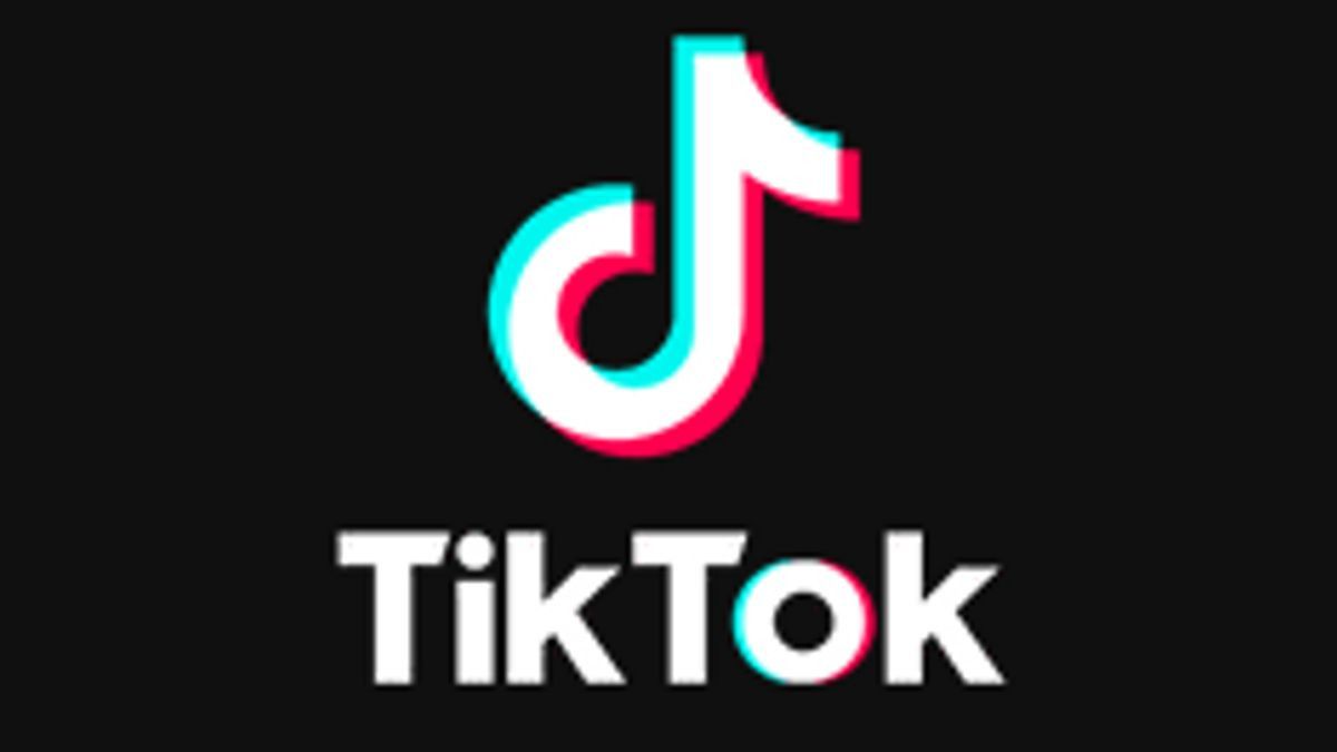 TikTok CEO Will Meet Donald Trump To Discuss Platform Ban In The US