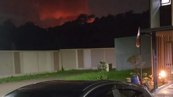 Kebakaran Gudang Munisi Paldam Jaya, Pangdam Sebut Tak Ada Evakuasi Warga