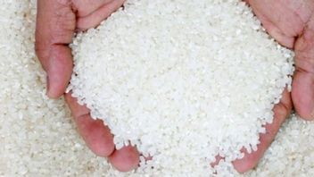 أرز لانغكا الممتاز ، بدأت محطة الغذاء توزيع 1000 طن على البيع بالتجزئة في جابوديتابك