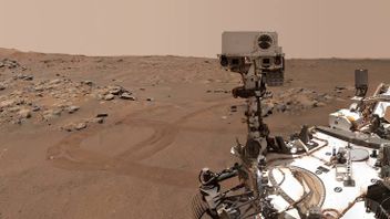 المثابرة الروبوت يعود لاستكشاف المريخ مع الحصى على جسدها، لماذا؟