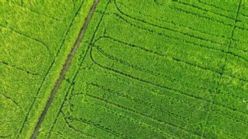 BRIN développe un système de surveillance des émissions par satellite pour maintenir la sécurité alimentaire