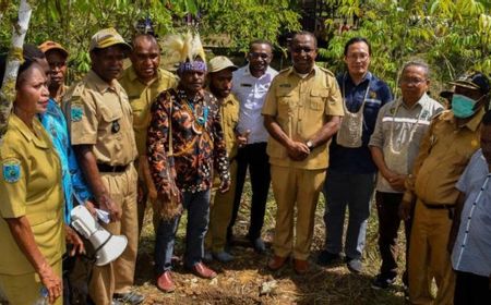 Pemerintah Segera Bangun Pembangkit Listrik Mikro Hidro di Papua Barat