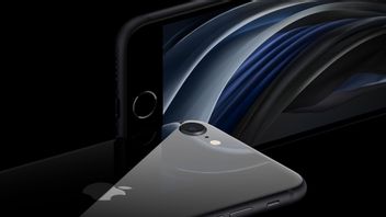 Apple Vend Officiellement IPhone SE 2020, Coûte Rp6 Millions