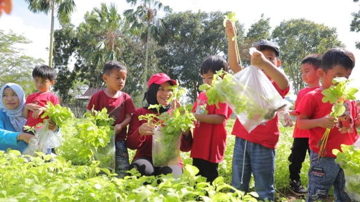 Le gouvernement provincial de Babylone rappelle l'importance de consommer des légumes aux enfants