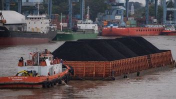 75 Coal Ships Full Of DMO Ready To Sail