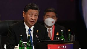 Xi Jinping: China Bersedia Pertahankan Kerja Sama dengan RI