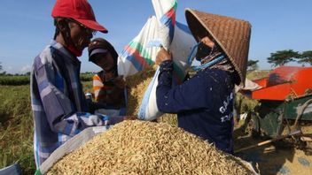 自給自足だけに満足せず、ジョコウィはインドネシアが世界的な食糧危機を助けるために米を輸出することを望んでいる