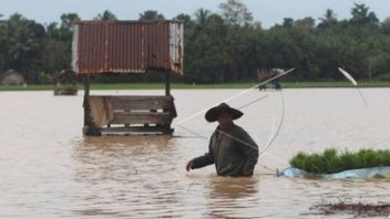 Farmers In Aceh Can Only Rub Their Chests, 426 Hectares Of Rice Fields Are Threatened With Puso Due To Flooding