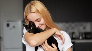 Kenapa Kucing Jantan Lebih Manja daripada Betina? Pakar Jelaskan Karakternya