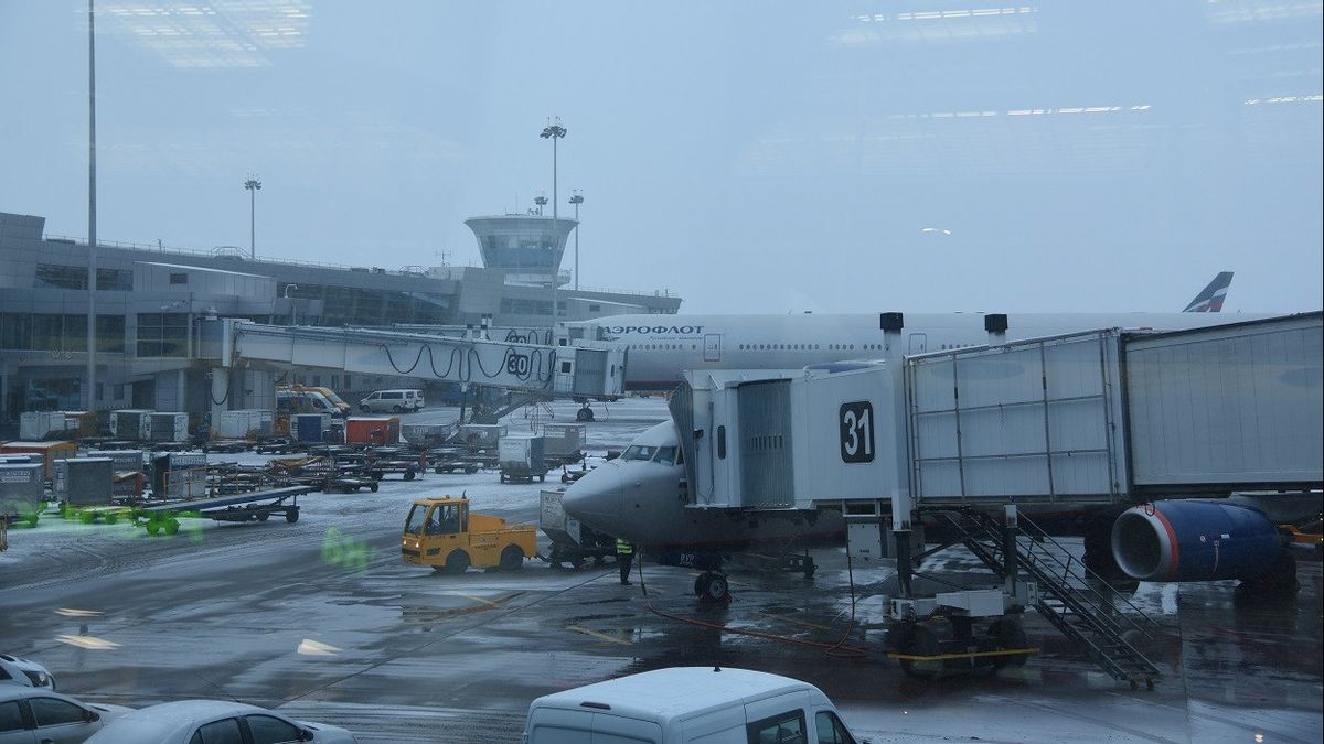  Moskow Diselimuti Kabut Tebal, Lebih dari 100 Penerbangan Tertunda