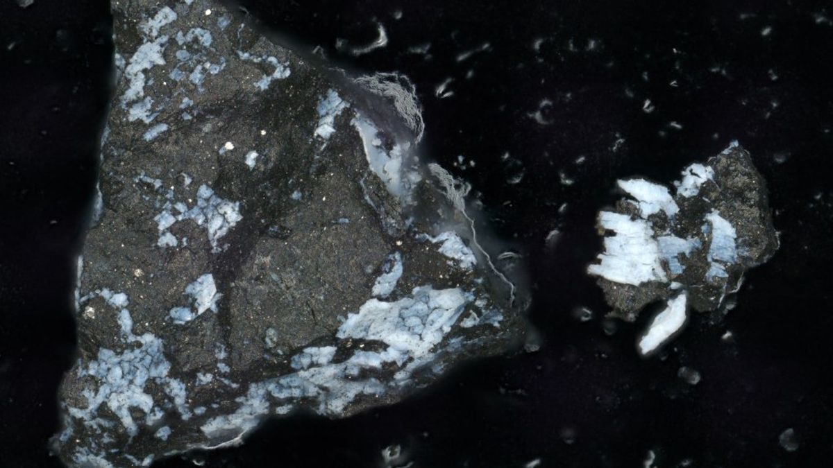 ناسا (رويترز) - عثر علماء ناسا على مركبات الفوسفات على عينات من كويكب بينو