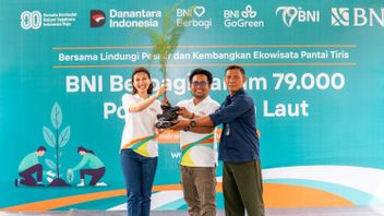 BNI Rayakan Ulang Tahun ke-79 dengan Aksi Nyata Hijaukan Pantai Tiris