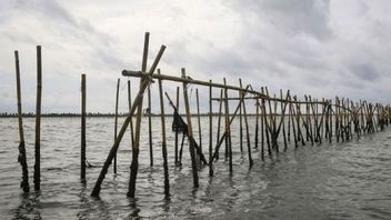 Buntut Kasus Pagar Laut di Tangerang, KKP Periksa Enam Perangkat Desa