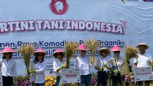 Pursuing Food Swasembada Target, Pupuk Indonesia Provides Farmer Training Through Kartini Tani