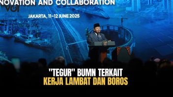 Presiden Prabowo Subianto 'Tegur' BUMN, Bergantung Suntikan Modal Lewat PMN