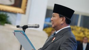 Moreno Hingga Raffi Ahmad Diisukan Jabat Menpora, Komisi X DPR: Kalau Presiden Percaya, Kita Akan Bekerja Sama