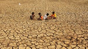 Wapres Paparkan Langkah Mitigasi Dampak El Nino