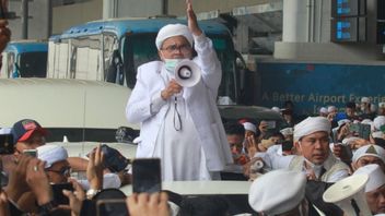 Rizieq Shihab 'Confide' Cepek, Tired, Hot In The Courtroom, Ferdinand: Yes, He Said The Lion Of The Desert