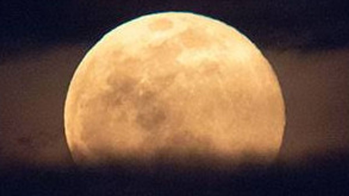 Apa Itu Worm Moon? Fenomena 7 Maret yang Hiasi Langit
