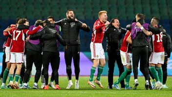爆破前的自杀式进球,匈牙利队进入2024年欧洲杯