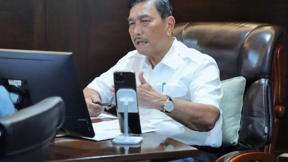 The Reason Luhut Hires Foreign Mandor: So Here's The Reason