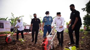 Wapres Ma'ruf Amin Tanam Jagung dan Kedelai di Purwakarta