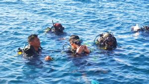 Kaesang Tanam Terumbu Karang di Bangsring Underwater Banyuwangi