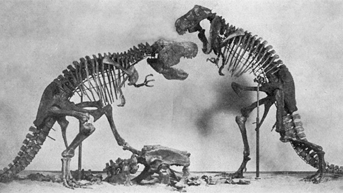 Traces De L’habitat Des Dinosaures Et De La Région La Plus Dangereuse De L’histoire De La Terre