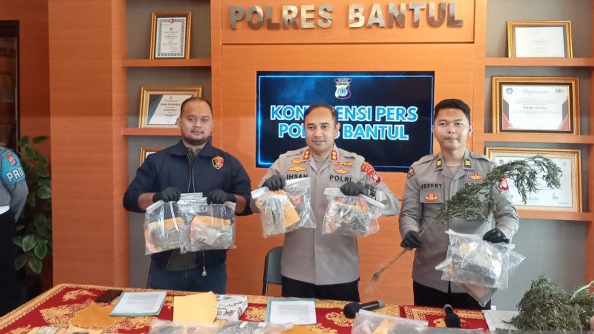 Polres Bantul Amankan 969 Gram Ganja dari 2 Pengedar