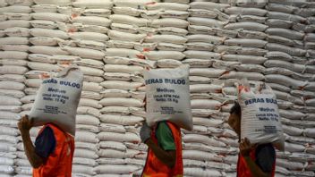 Bulog Calls Rice Stock In Bali Capai 3,000 Tons, Enough For Nyepi Day And Ramadan