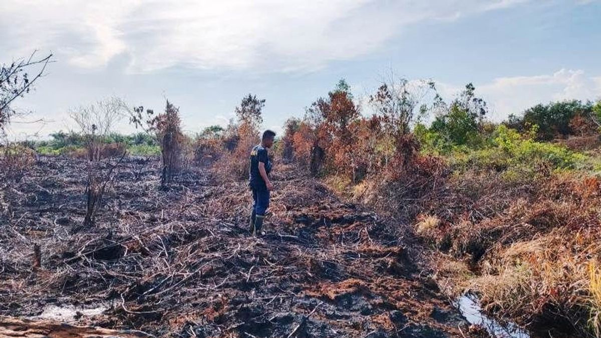 Kebakaran Lahan Seluas 1,5 Hektare di Aceh Barat Dipastikan Padam