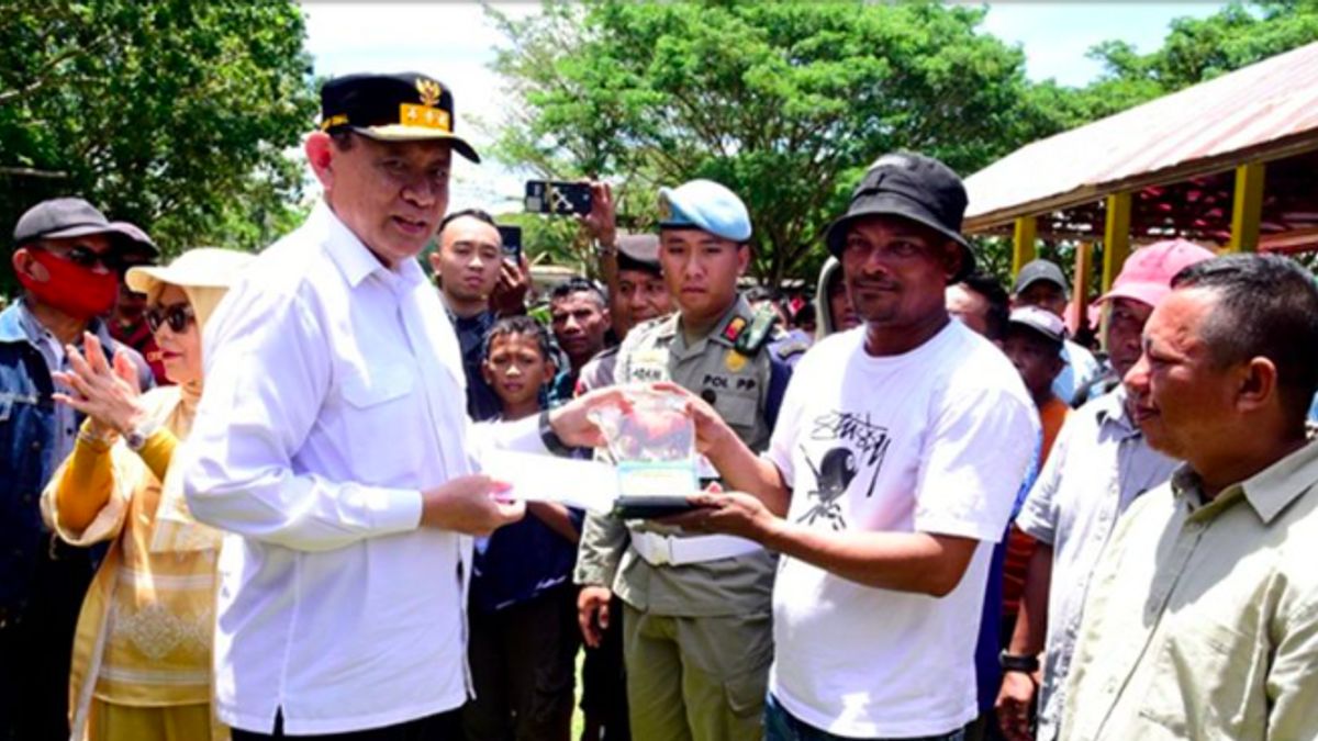 Kontes Sapi Ternak Meriahkan Festival Ketupat di Gorontalo