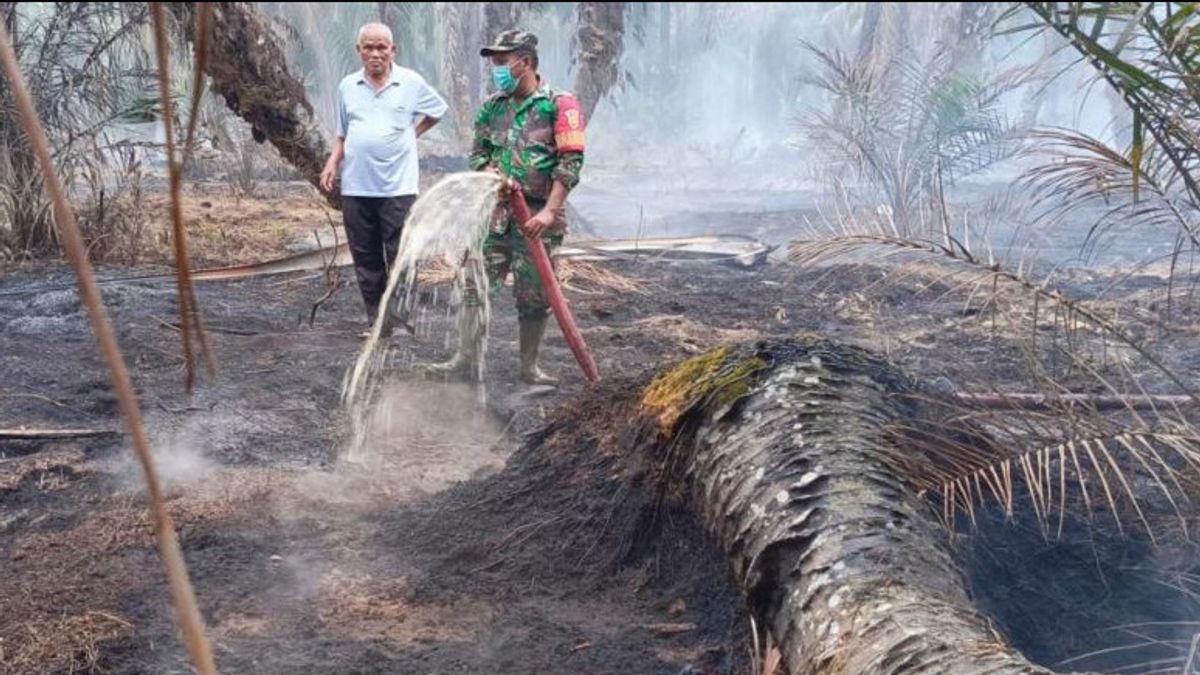 Palm Oil Plantation In Labut Terbakar, Mukomuko Is Now Covered With Smoke