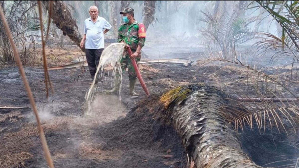 燃烧泥炭地的油棕种植园,Mukomuko现在被烟雾淹没