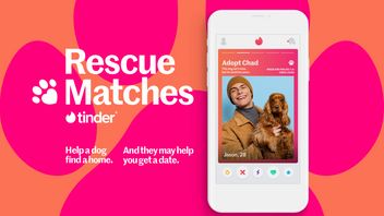Not Just Finding Friends For Dating, New Tinder Features Can Also Find A New Home For Dogs In The US