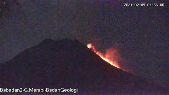 Pagi Ini, Gunung Merapi Semburkan Awan Panas Sejauh 1,1 Kilometer