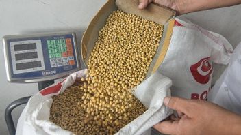 好消息： 大豆价格本周下跌， 如何知道和坦佩？