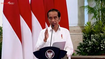 Jokowi Minta Menpan RB Cari Jalan Tengah soal Tenaga Honorer