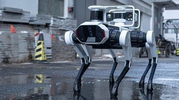 Polisi Malaga Uji Coba Anjing Robot dalam Patroli Kota