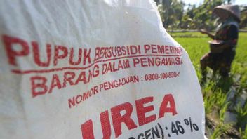 没有分销许可证，巴厘岛的农民不能参加补贴肥料招标